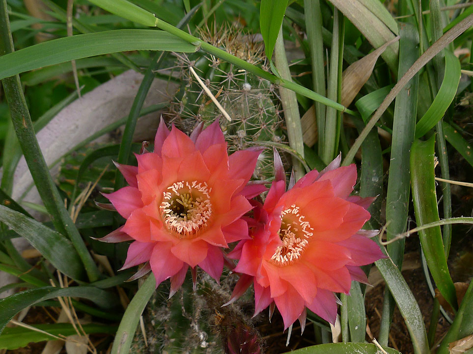 7may-031