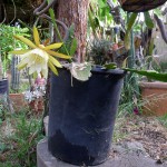 8may-012