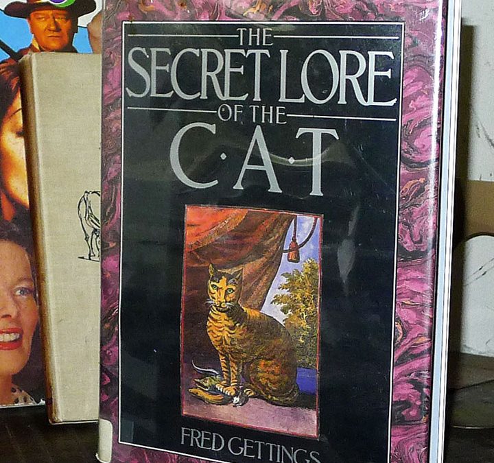 The Secret Lore of the Cat