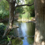 Averill Park